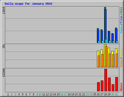 Daily usage for January 2016