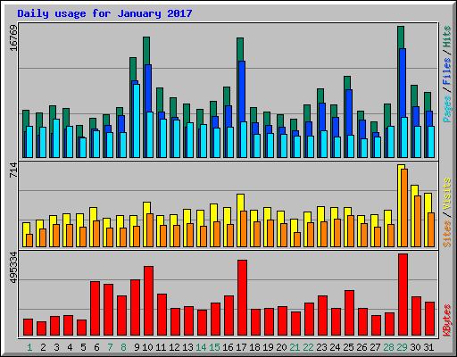 Daily usage for January 2017