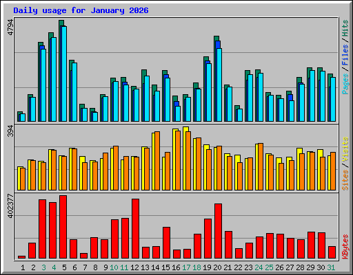 Daily usage for January 2026