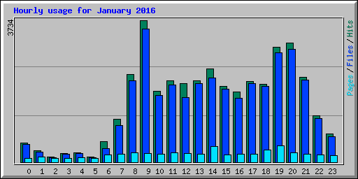 Hourly usage for January 2016