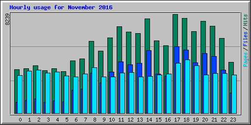 Hourly usage for November 2016