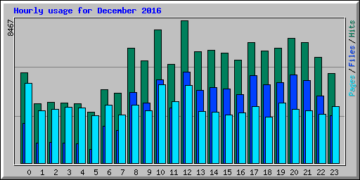 Hourly usage for December 2016