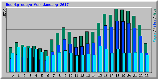 Hourly usage for January 2017