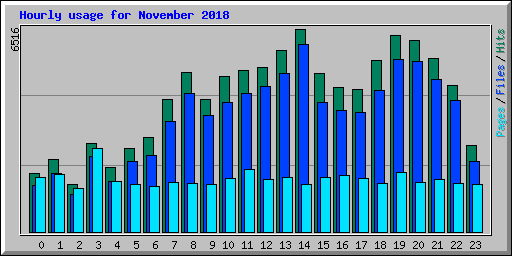 Hourly usage for November 2018