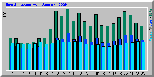 Hourly usage for January 2020
