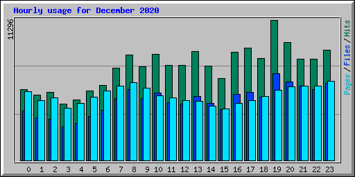 Hourly usage for December 2020