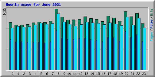 Hourly usage for June 2021