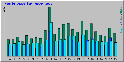 Hourly usage for August 2025