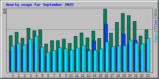 Hourly usage for September 2025