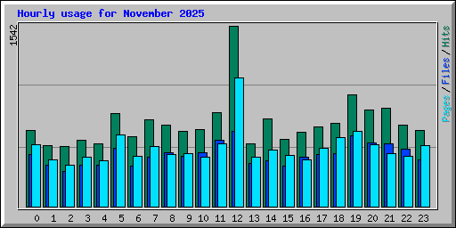 Hourly usage for November 2025