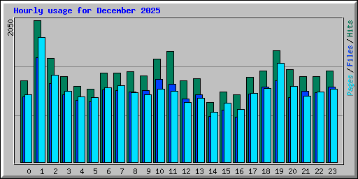 Hourly usage for December 2025