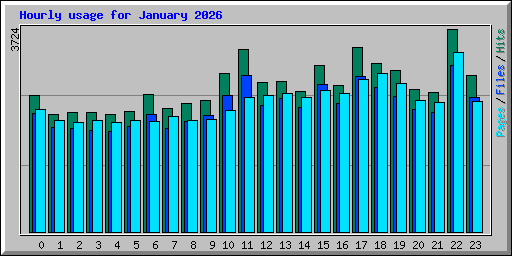 Hourly usage for January 2026