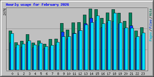 Hourly usage for February 2026